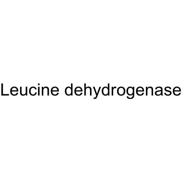 Leucine dehydrogenase (LDH, EC 1.4.1.9) 9082-71-7